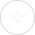 Our Vision